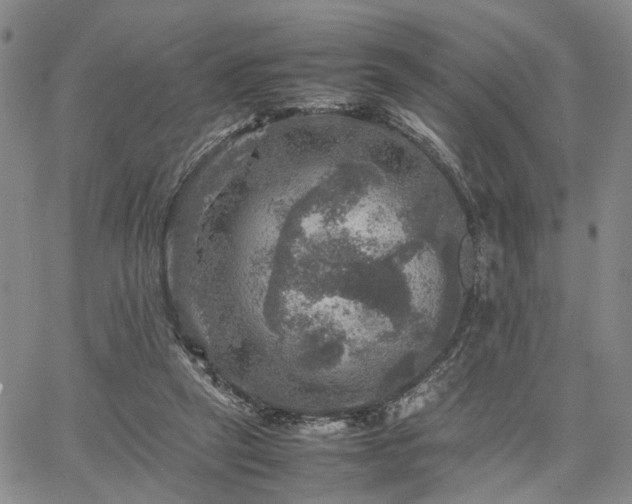 X0000067890257200604201316