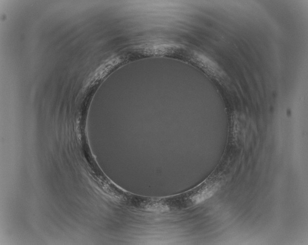 X0000067890258200604201316