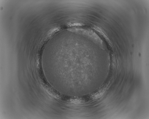 X0000067890259200604201316