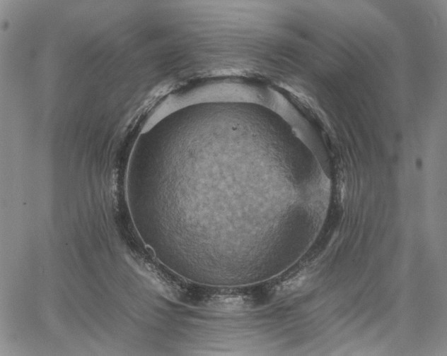 X0000067890260200604201317