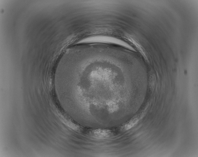 X0000067890261200604201317