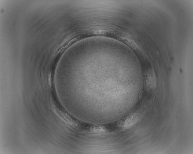 X0000067890262200604201317