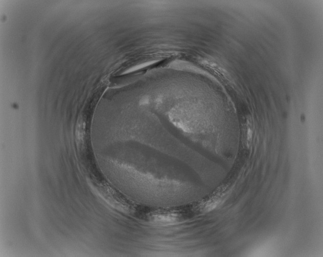 X0000067890263200604201317