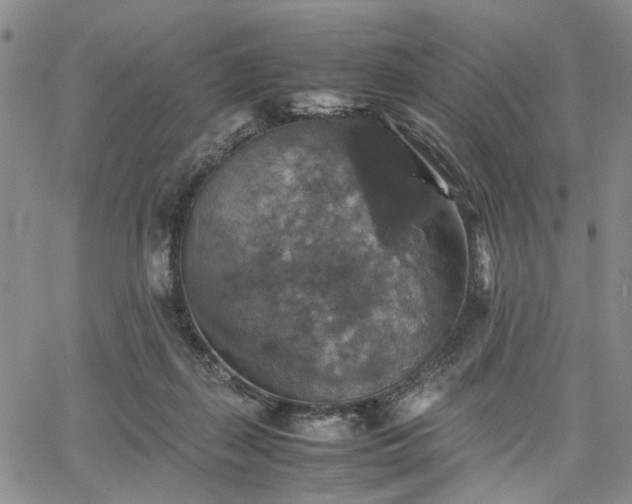 X0000067890267200604201317