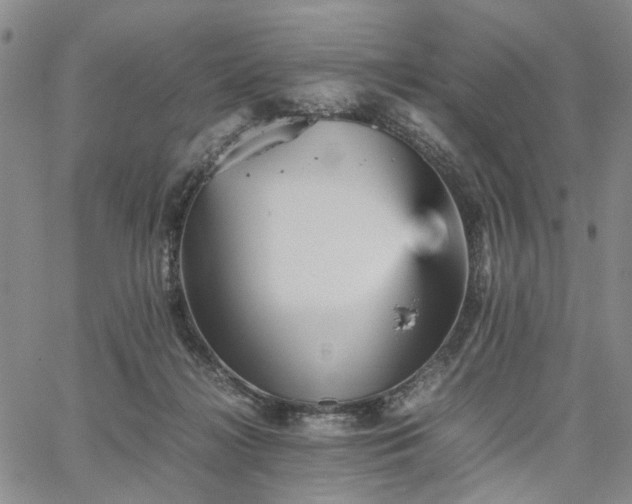 X0000067890268200604201317