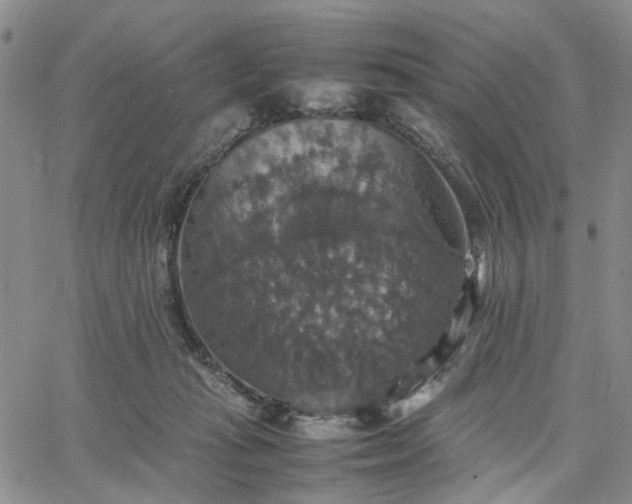 X0000067890269200604201317