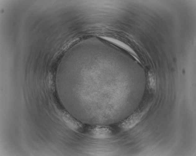 X0000067890270200604201317