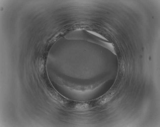 X0000067890271200604201317