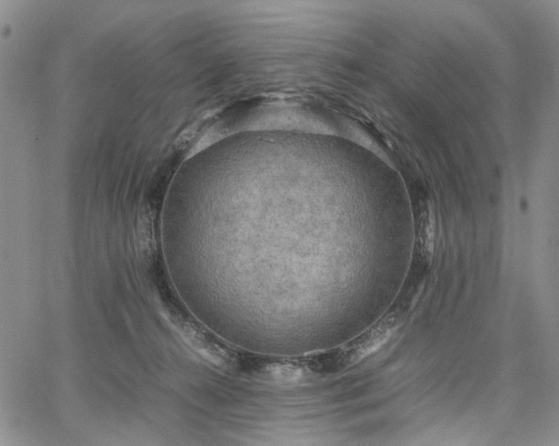 X0000067890272200604201317