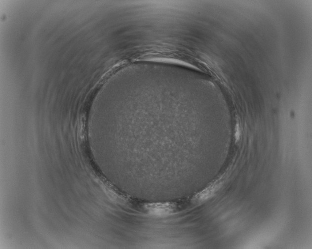 X0000067890273200604201317