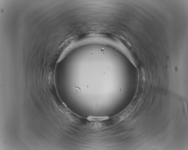 X0000067890276200604201317