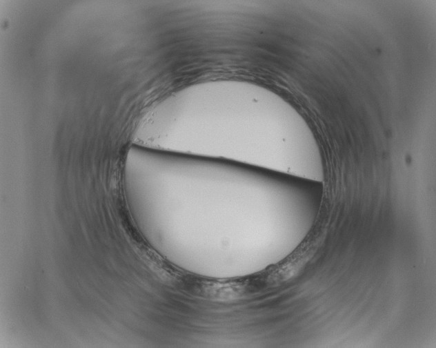 X0000067890277200604201317