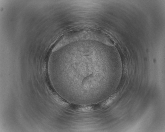 X0000067890278200604201317