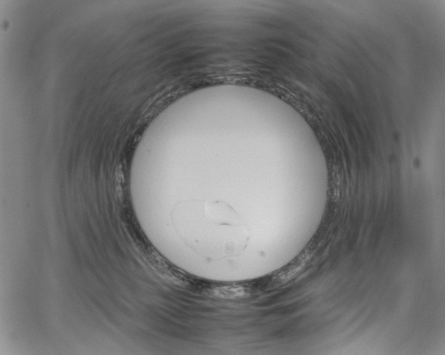 X0000067890279200604201317