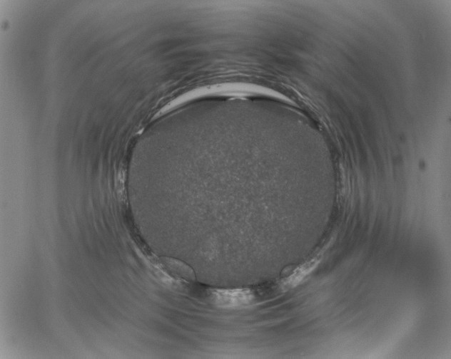 X0000067890281200604201317