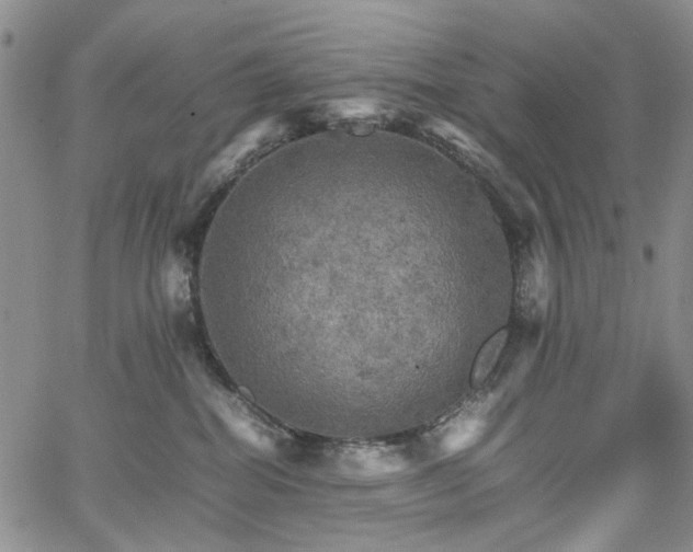 X0000067890282200604201317