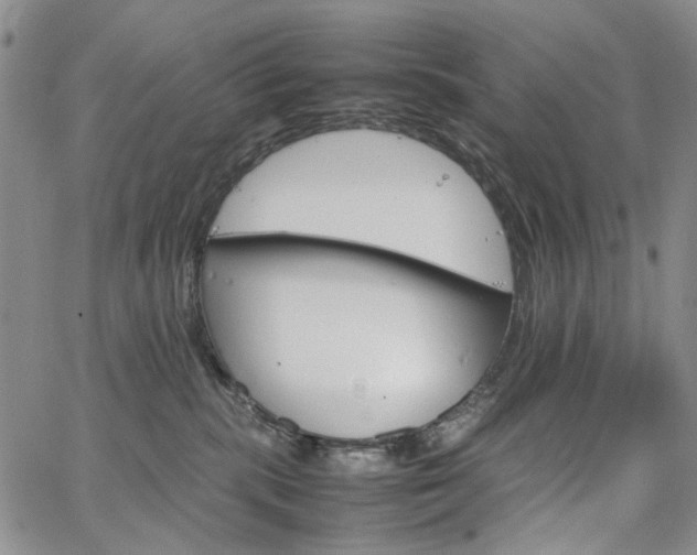 X0000067890283200604201317