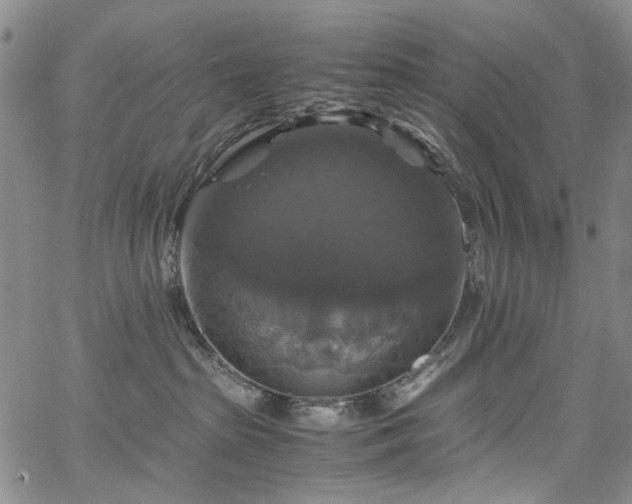 X0000067890285200604201317