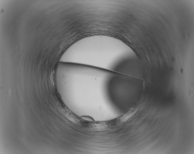 X0000067890286200604201317