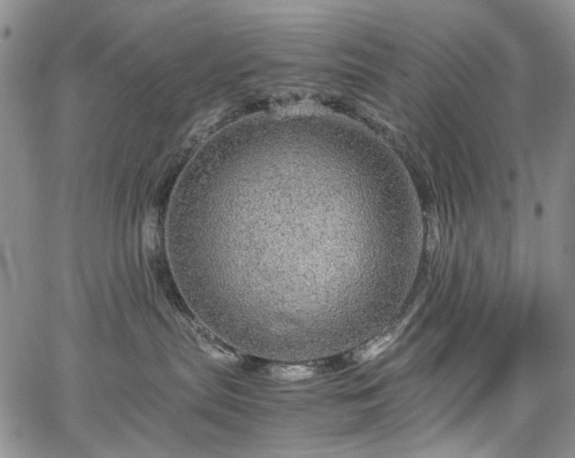 X0000067890287200604201317