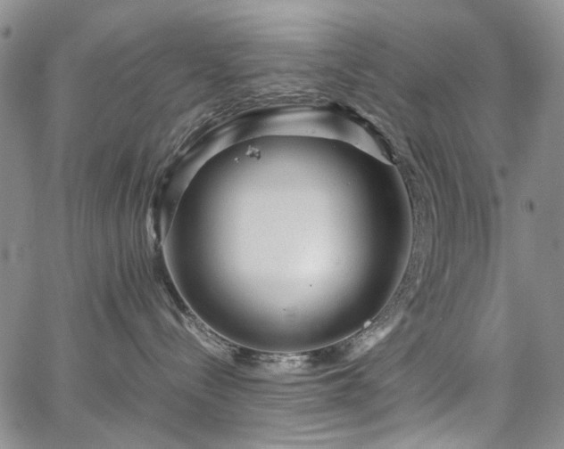 X0000067890288200604201317