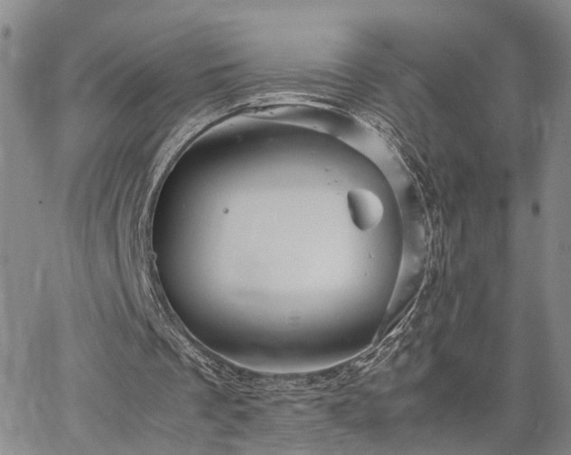 X0000067890289200604201316