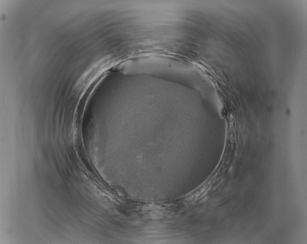 X0000067890290200604201316