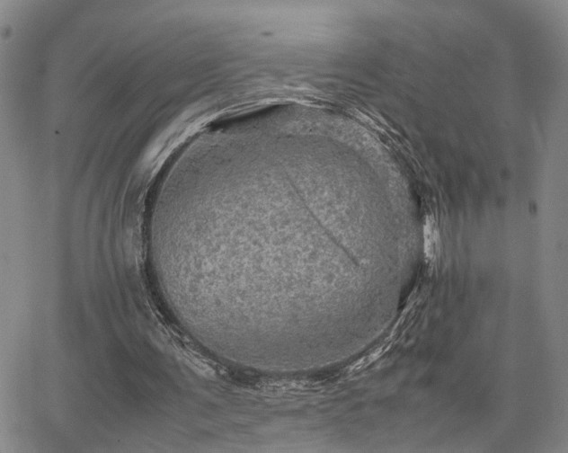 X0000067890291200604201316