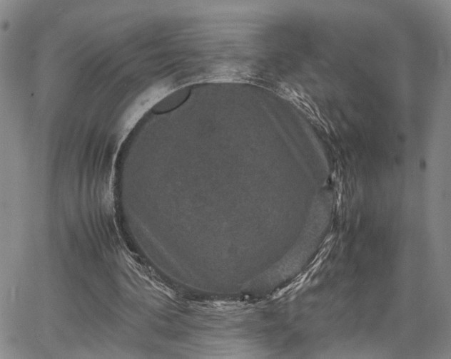 X0000067890292200604201316