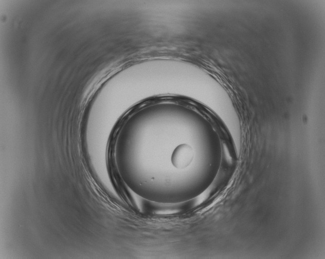 X0000067890293200604201316