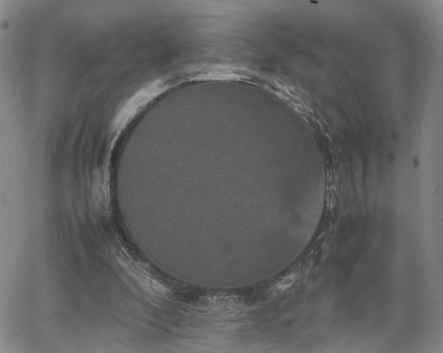 X0000067890296200604201316