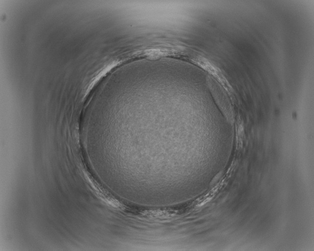 X0000067890297200604201316