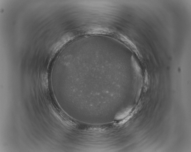 X0000067890298200604201316