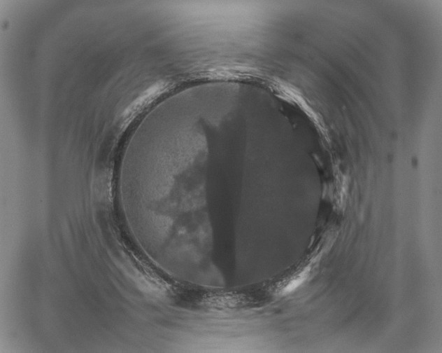 X0000067890299200604201316