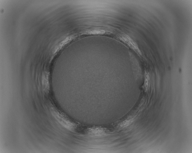 X0000067890300200604201316