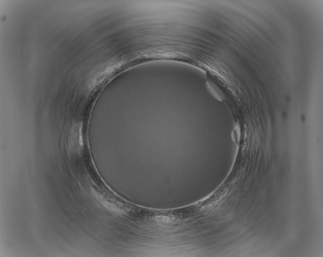 X0000067890302200604201316