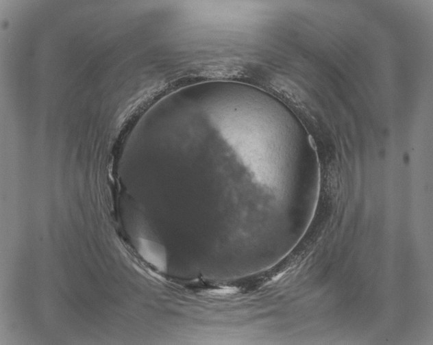 X0000067890303200604201316