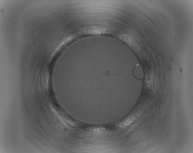 X0000067890304200604201316