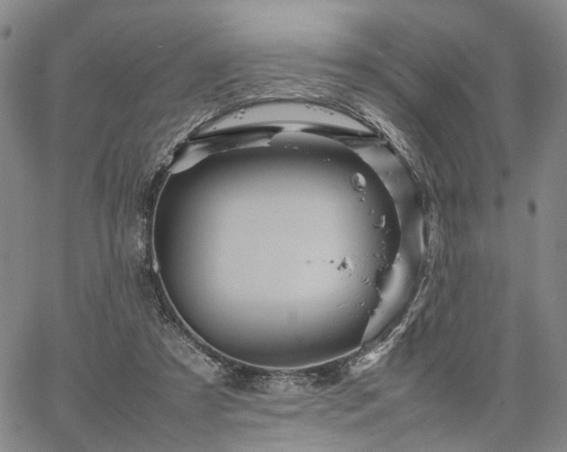 X0000067890305200604201316