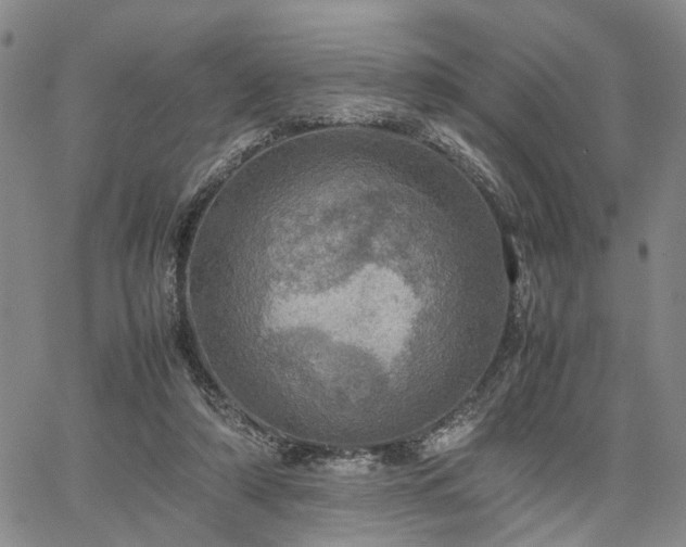 X0000067890306200604201316