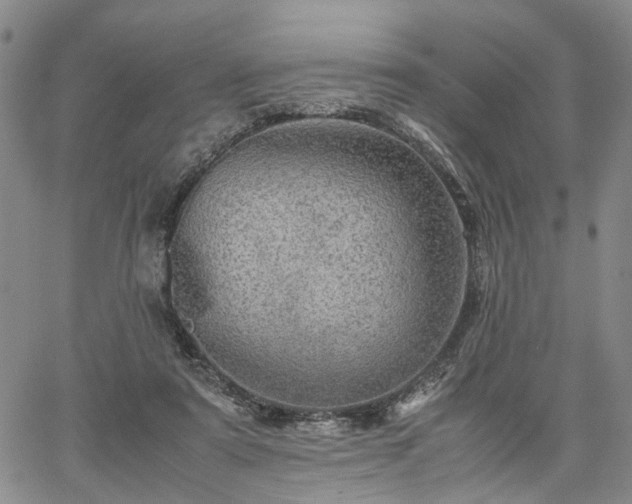 X0000067890307200604201316