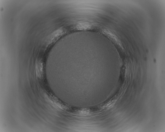 X0000067890308200604201316