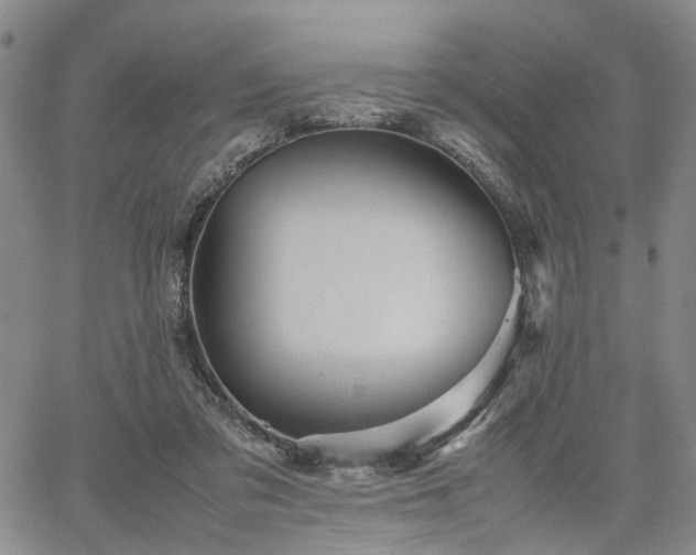 X0000067890309200604201316