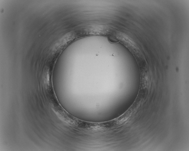 X0000067890310200604201316