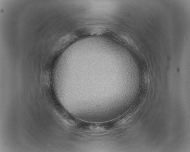 X0000067890311200604201316