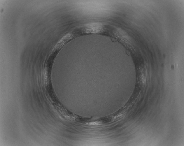 X0000067890312200604201316