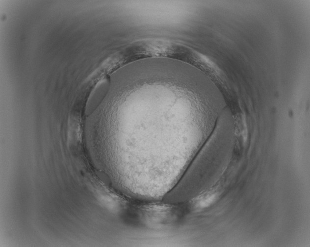 X0000067890313200604201316