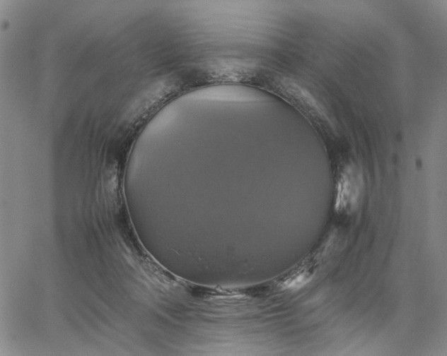 X0000067890314200604201316