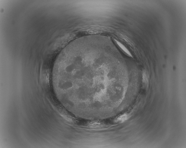 X0000067890315200604201316