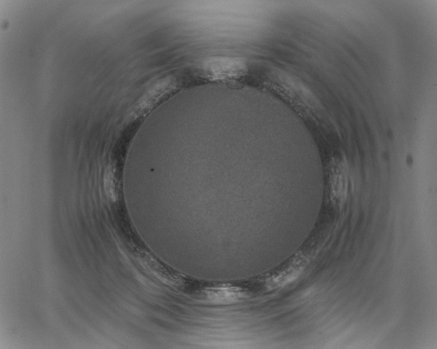 X0000067890316200604201316